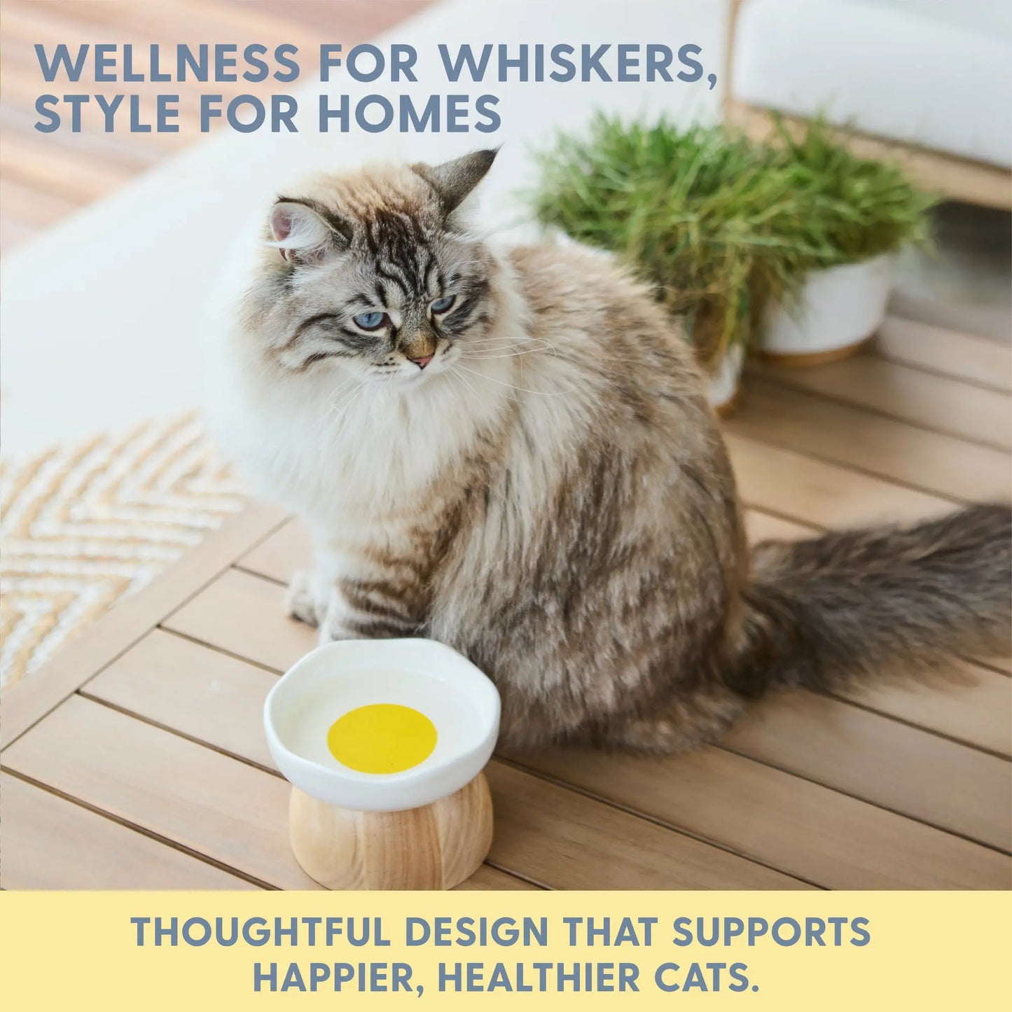 Premium Egg-Shaped Cat Bowl