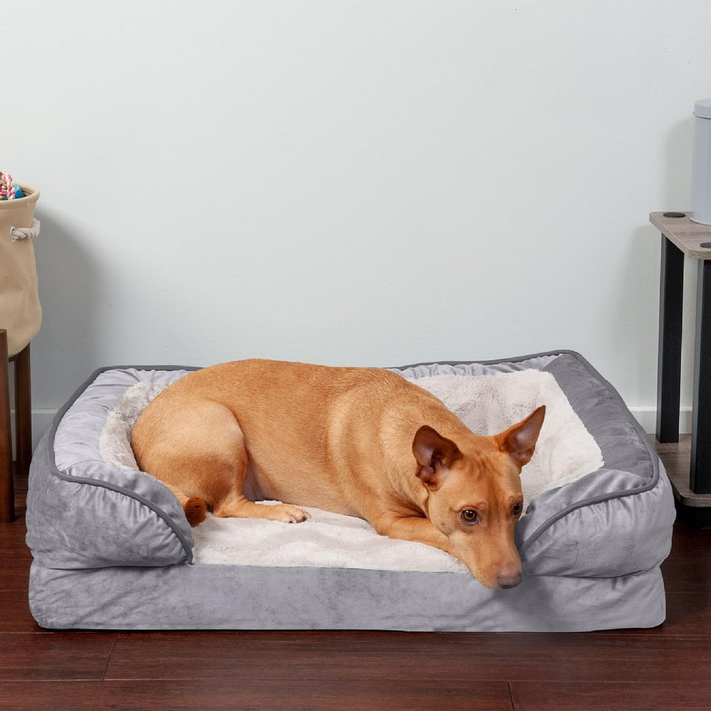 Orthopedic Dog Bed for Small to Medium Breeds with Removable Bolsters and Washable Cover, Ideal for Dogs up to 35 lbs - Plush Velvet Comfort Sofa in Granite Gray, Medium Size