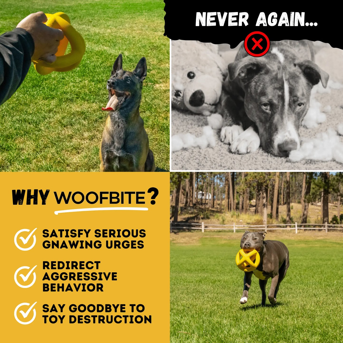Monster K9 Giant Halo Ball – Extra-Large Indestructible Dog Ball for Powerful Chewers in Large and Extra-Large Breeds