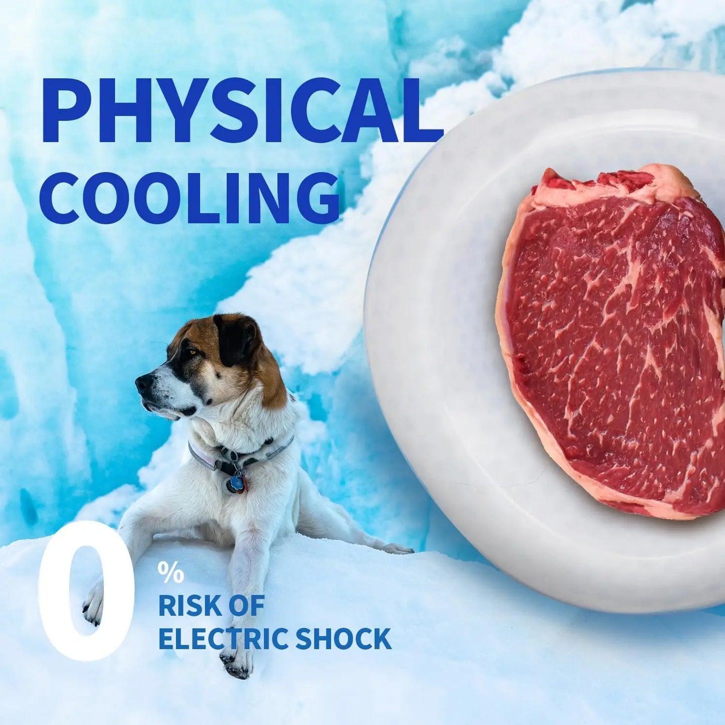 All for Paws Chill Out Large 500ml Cooler Food Bowl - Blue and White Pet Dish for Food Cooling
