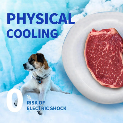 All for Paws Chill Out Large 500ml Cooler Food Bowl - Blue and White Pet Dish for Food Cooling