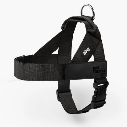 Dog Friendly Co. No-Pull Harness - Adjustable, Lightweight, and Comfortable Design for All Dogs - Chafe-Resistant Straps for Enhanced Safety and Security
