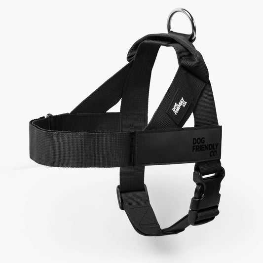 Dog Friendly Co. No-Pull Harness - Adjustable, Lightweight, and Comfortable Design for All Dogs - Chafe-Resistant Straps for Enhanced Safety and Security