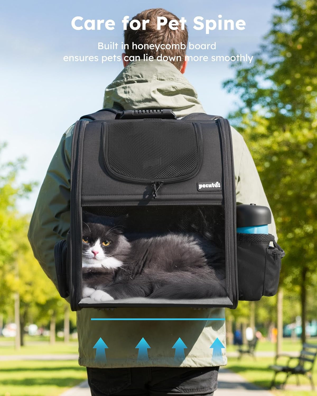 Expandable Pet Carrier Backpack - Portable and Breathable Rucksack with Mesh Opening, Visible Acrylic, Safety Belt, and Pockets for Enhanced Comfort and Space for Puppies and Cats (Black)