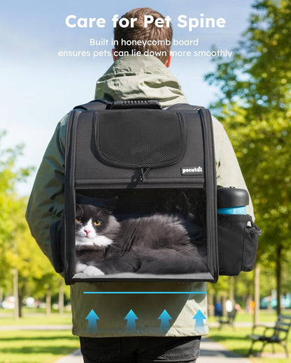 Expandable Pet Carrier Backpack - Portable and Breathable Rucksack with Mesh Opening, Visible Acrylic, Safety Belt, and Pockets for Enhanced Comfort and Space for Puppies and Cats (Black)