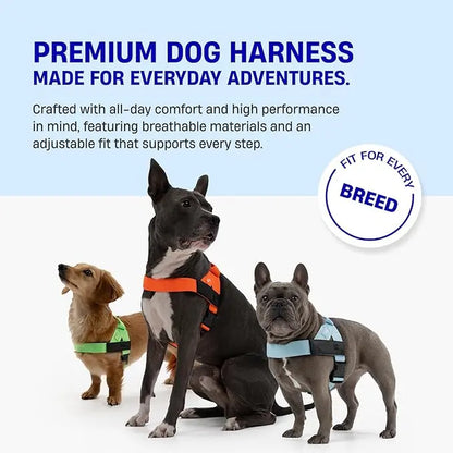 Dog Friendly Co. No-Pull Harness - Adjustable, Lightweight, and Comfortable Design for All Dogs - Chafe-Resistant Straps for Enhanced Safety and Security