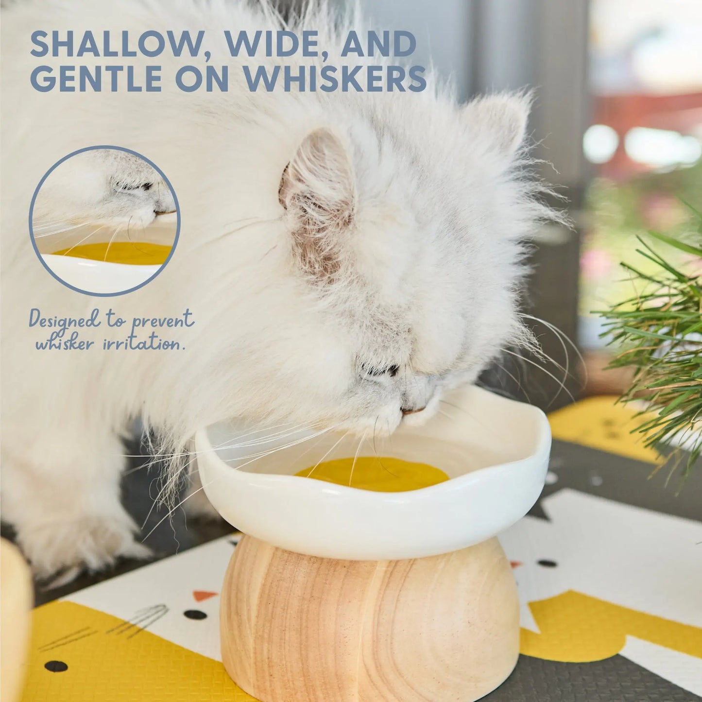 Premium Egg-Shaped Cat Bowl
