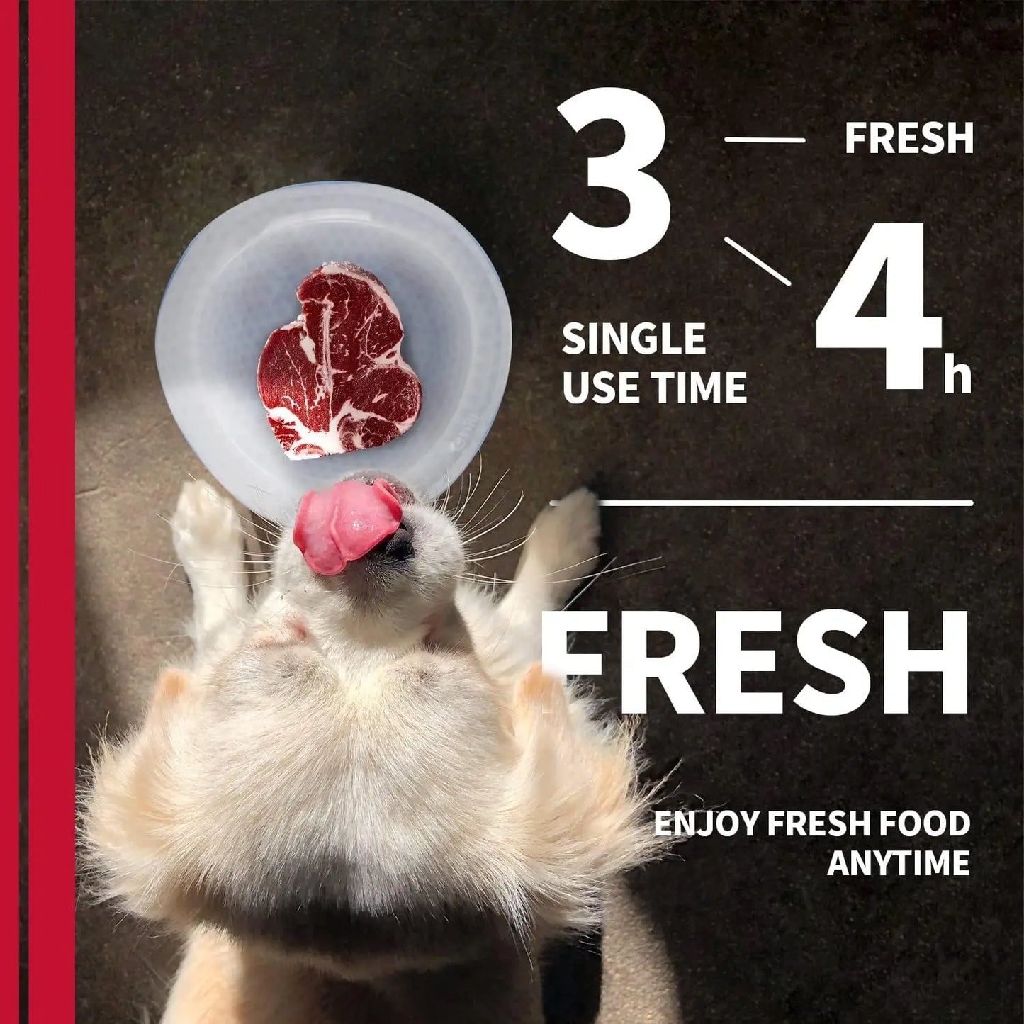 All for Paws Chill Out Large 500ml Cooler Food Bowl - Blue and White Pet Dish for Food Cooling
