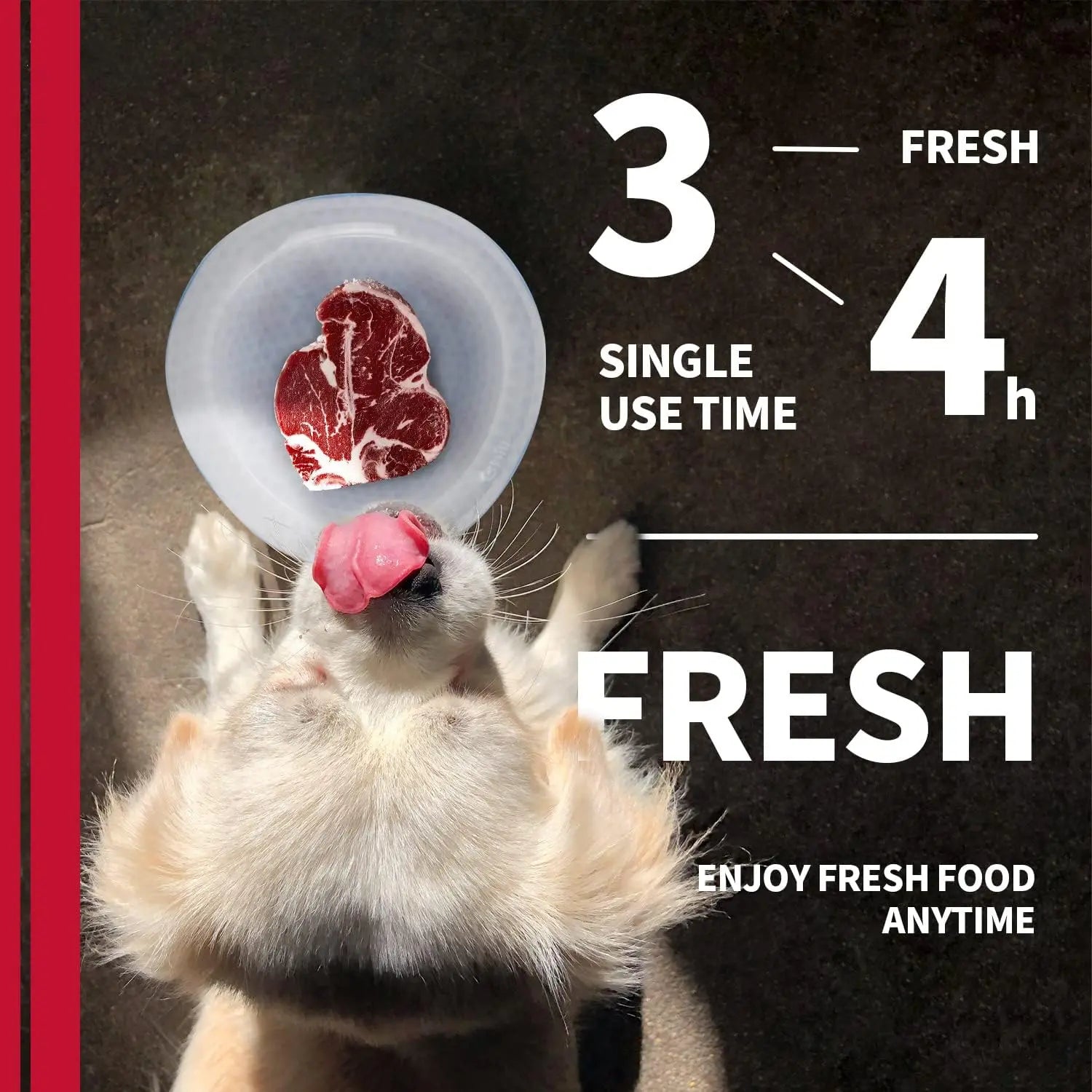 All for Paws Chill Out Large 500ml Cooler Food Bowl - Blue and White Pet Dish for Food Cooling