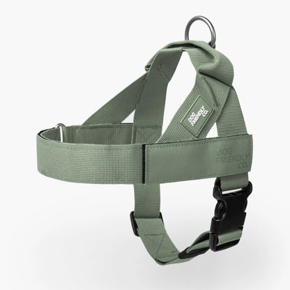 Dog Friendly Co. No-Pull Harness - Adjustable, Lightweight, and Comfortable Design for All Dogs - Chafe-Resistant Straps for Enhanced Safety and Security