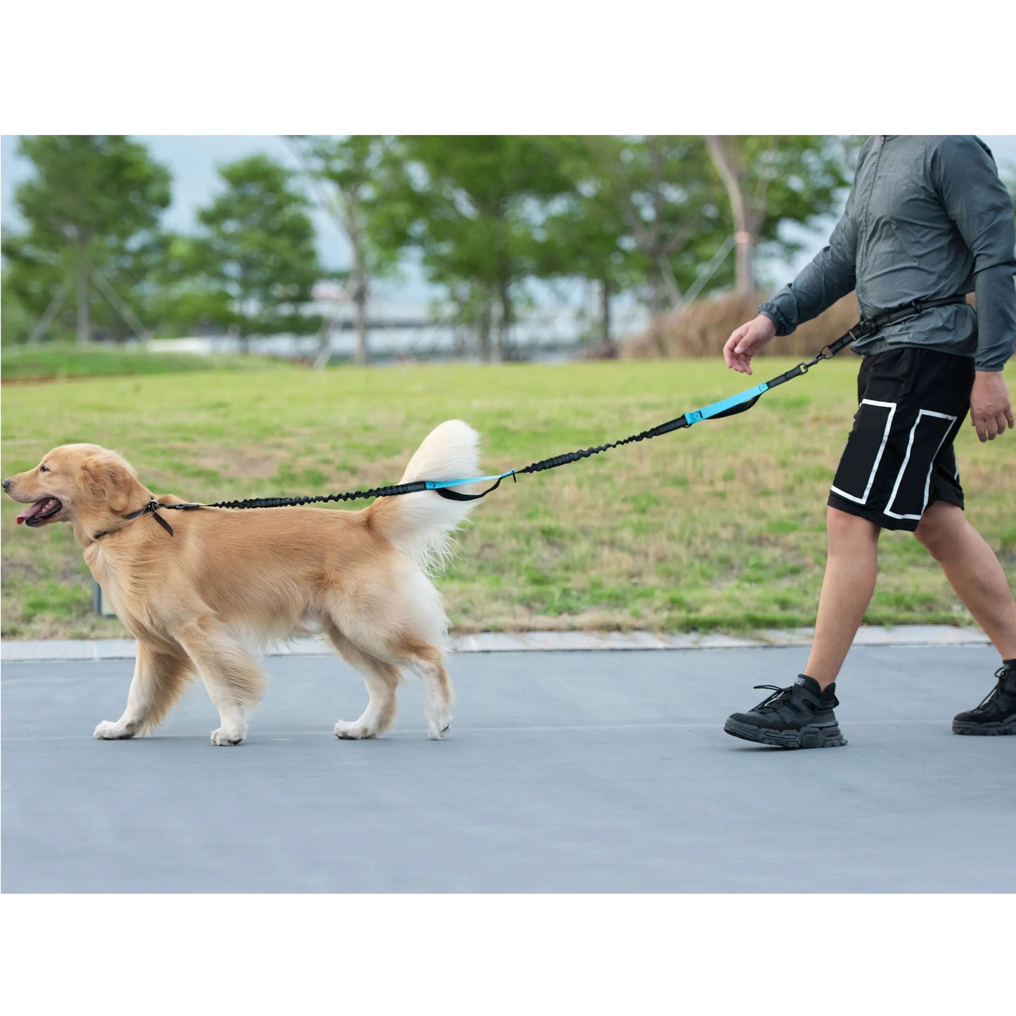 Iyoshop Hands-Free Dog Leash with Zipper Pouch, Dual Padded Handles, and Durable Bungee for Walking, Jogging, and Running