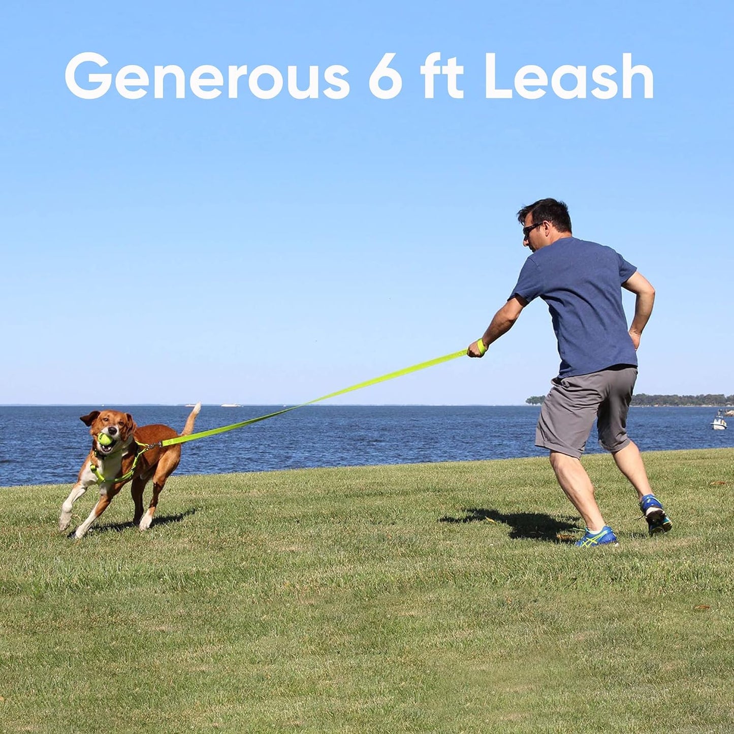 Reflective Lightweight 6 Ft Black Dog Leash for Small Dogs and Puppies - Durable Design
