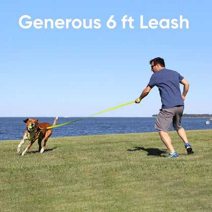 Reflective Lightweight 6 Ft Black Dog Leash for Small Dogs and Puppies - Durable Design