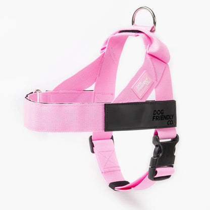 Dog Friendly Co. No-Pull Harness - Adjustable, Lightweight, and Comfortable Design for All Dogs - Chafe-Resistant Straps for Enhanced Safety and Security