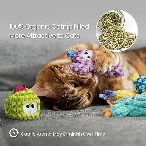 Pawsible 5-Pack Colorful Cactus Cat Toy Set with 100% Premium Herb Filling for Natural Stimulation, Ideal Soft Teething Toys for Kittens