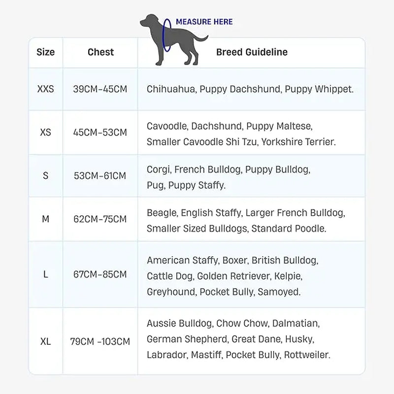 Dog Friendly Co. No-Pull Harness - Adjustable, Lightweight, and Comfortable Design for All Dogs - Chafe-Resistant Straps for Enhanced Safety and Security