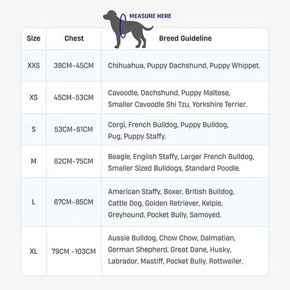 Dog Friendly Co. No-Pull Harness - Adjustable, Lightweight, and Comfortable Design for All Dogs - Chafe-Resistant Straps for Enhanced Safety and Security