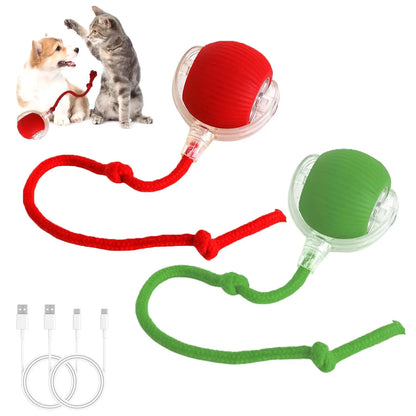 Interactive Electric Cat Toy Ball: Motion-Sensing Rolling Ball for Indoor Cats and Dogs, Promotes Active Play and Engagement, Ideal Pet Gift and Supply.