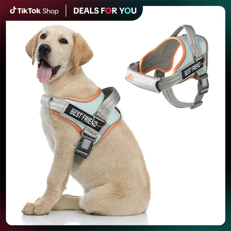 Auroth No-Pull Dog Harness with Soft Padded Vest, Adjustable Reflective Safety Harness for Walking and Training, Suitable for Small, Medium, and Large Dogs