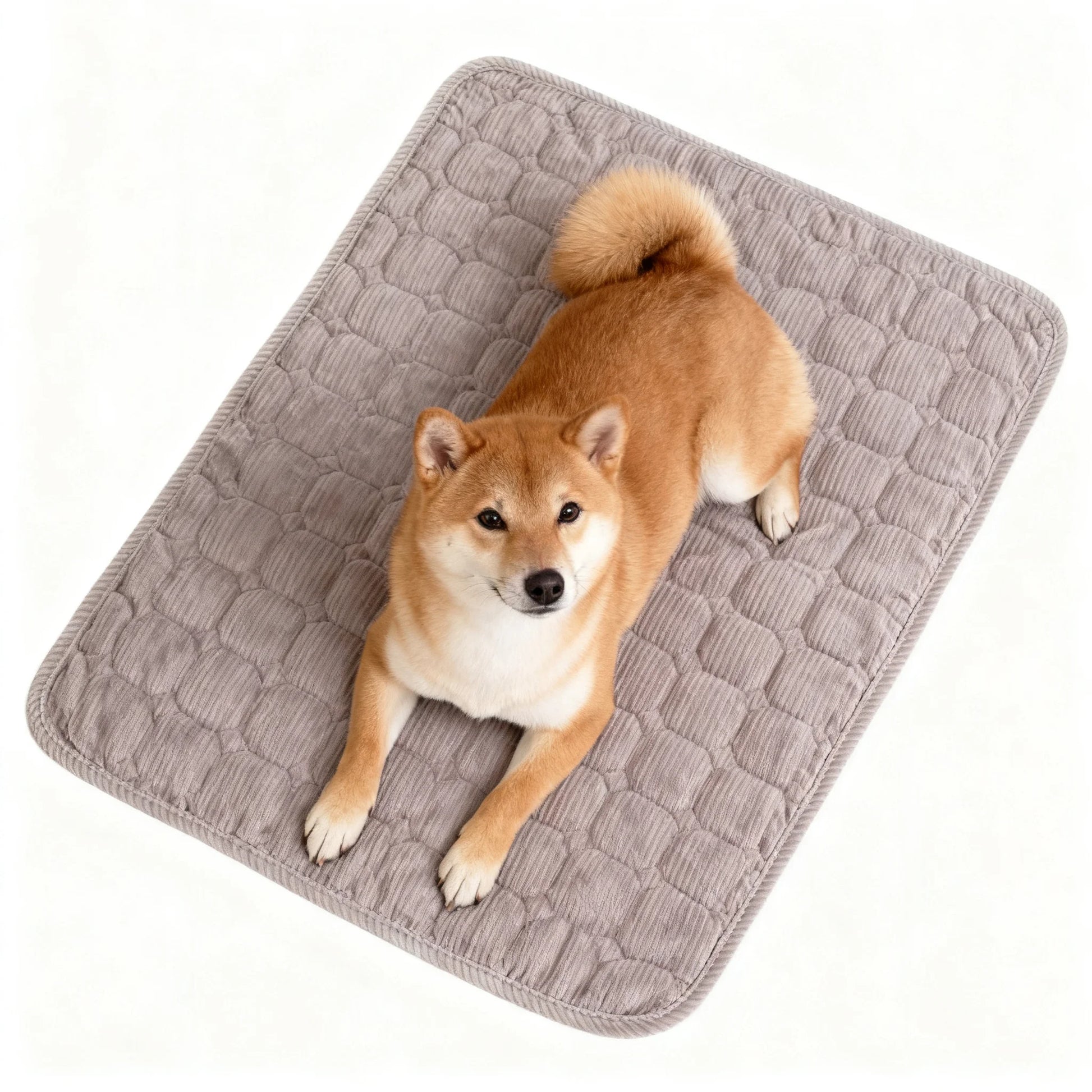 Extra Large Dog Crate Mat - 48" x 36" Washable Corduroy Kennel Mat with Anti-Slip Bottom and Durable Hemming