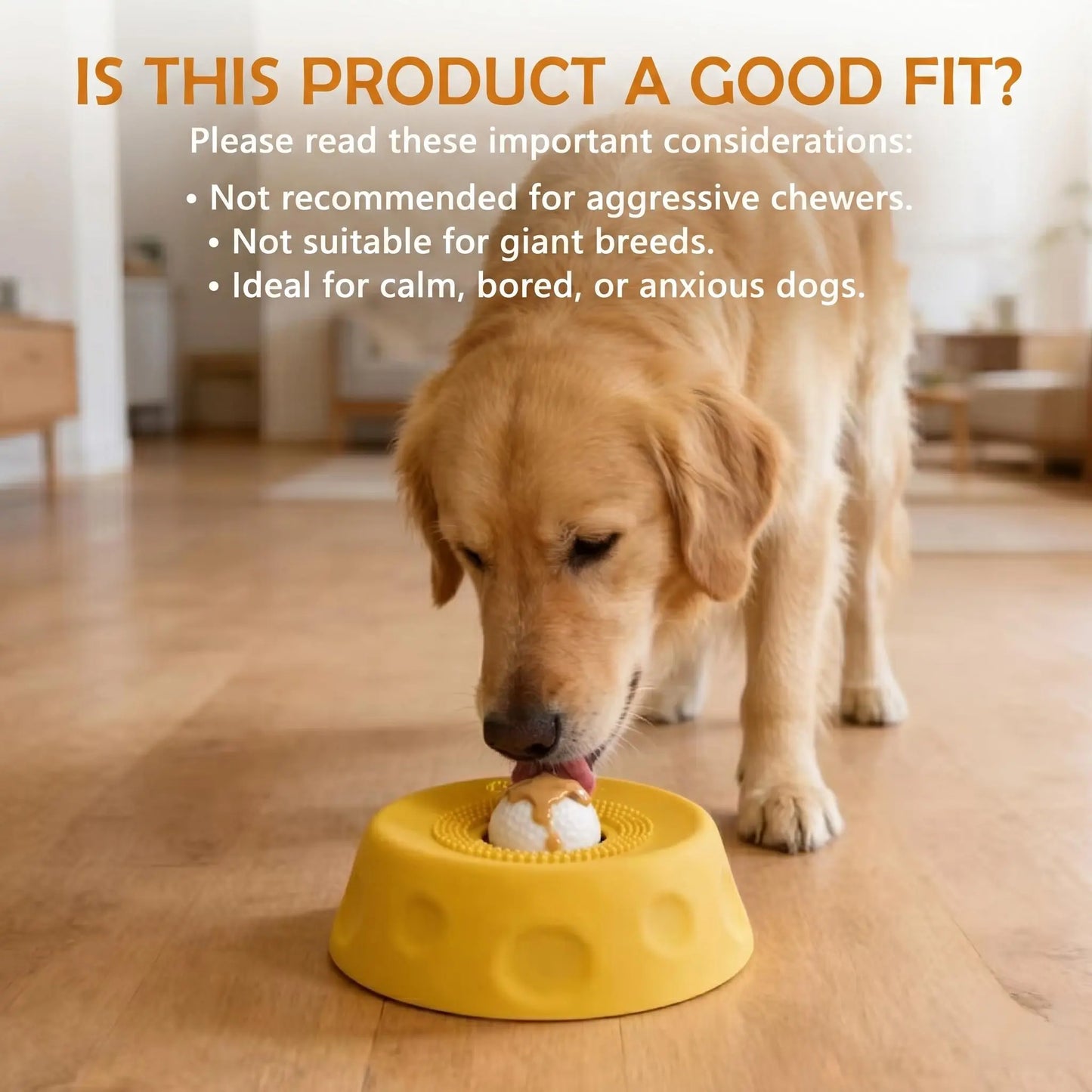 Pawpace Multi-Purpose Dog Bowl - Buy 1 Get 1 Free, Liquid Slow Feeder and Lick Bowl with Ball, Oral Hygiene and Tongue Cleaning, 8 Suction Cups, Mess-Free Liquid Treat Enrichment for Dogs