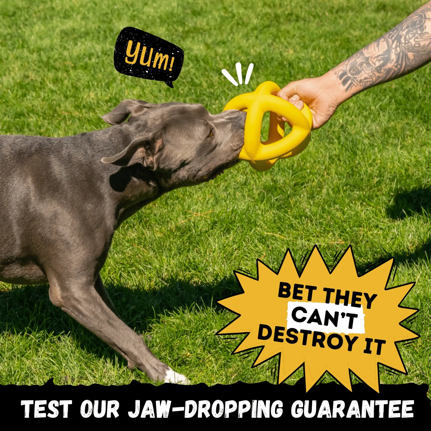 Monster K9 Giant Halo Ball – Extra-Large Indestructible Dog Ball for Powerful Chewers in Large and Extra-Large Breeds