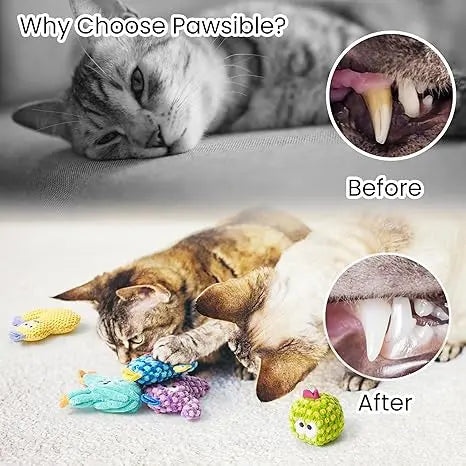 Pawsible 5-Pack Colorful Cactus Cat Toy Set with 100% Premium Herb Filling for Natural Stimulation, Ideal Soft Teething Toys for Kittens