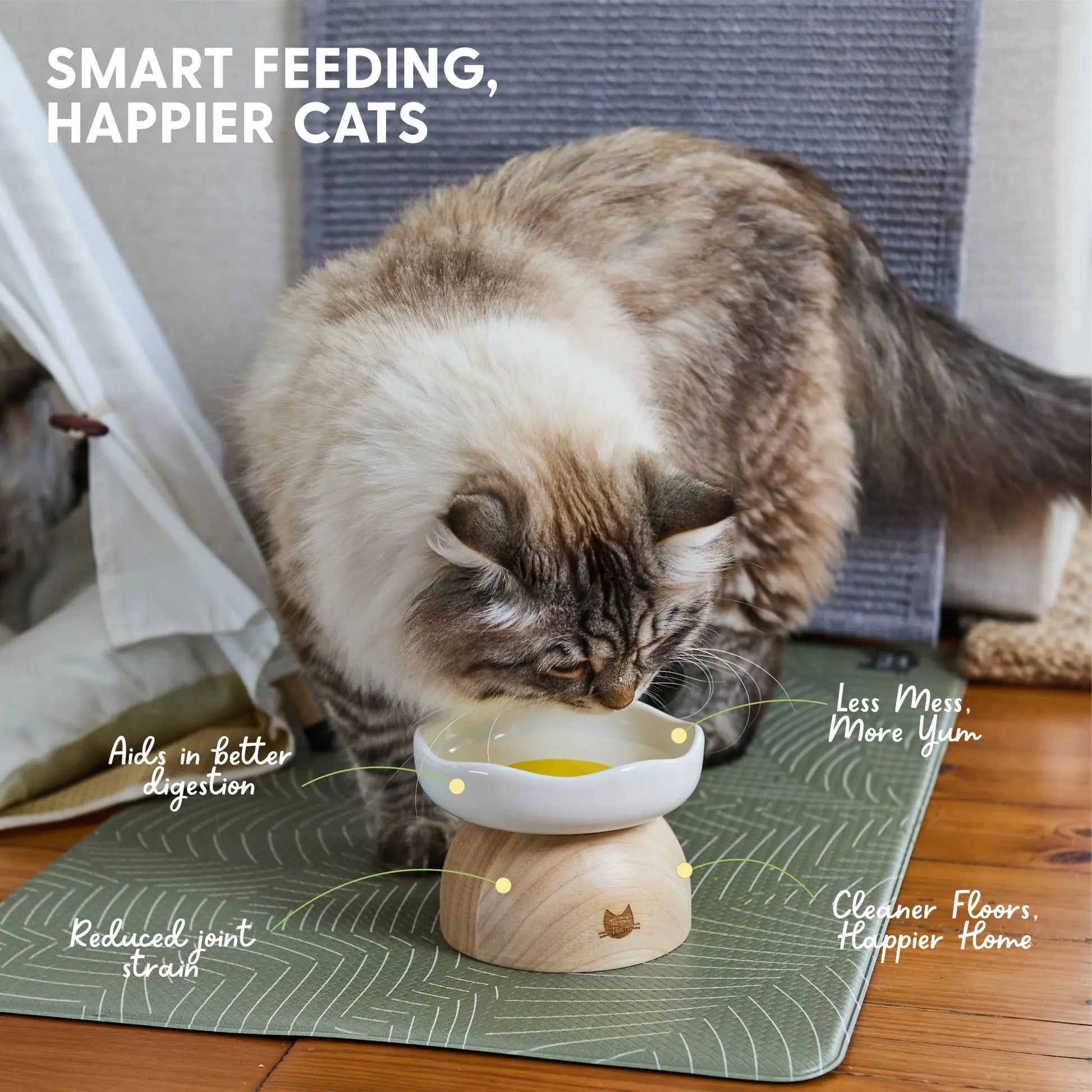 Premium Egg-Shaped Cat Bowl