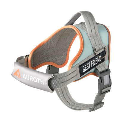 Auroth No-Pull Dog Harness with Soft Padded Vest, Adjustable Reflective Safety Harness for Walking and Training, Suitable for Small, Medium, and Large Dogs