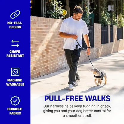 Dog Friendly Co. No-Pull Harness - Adjustable, Lightweight, and Comfortable Design for All Dogs - Chafe-Resistant Straps for Enhanced Safety and Security