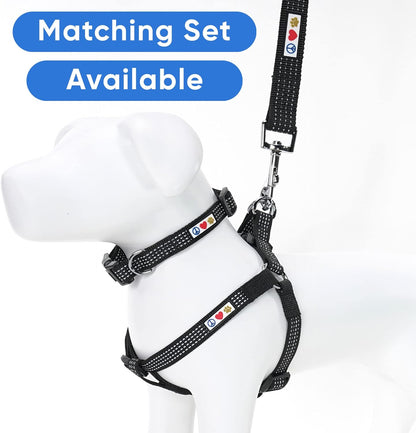 Reflective Lightweight 6 Ft Black Dog Leash for Small Dogs and Puppies - Durable Design