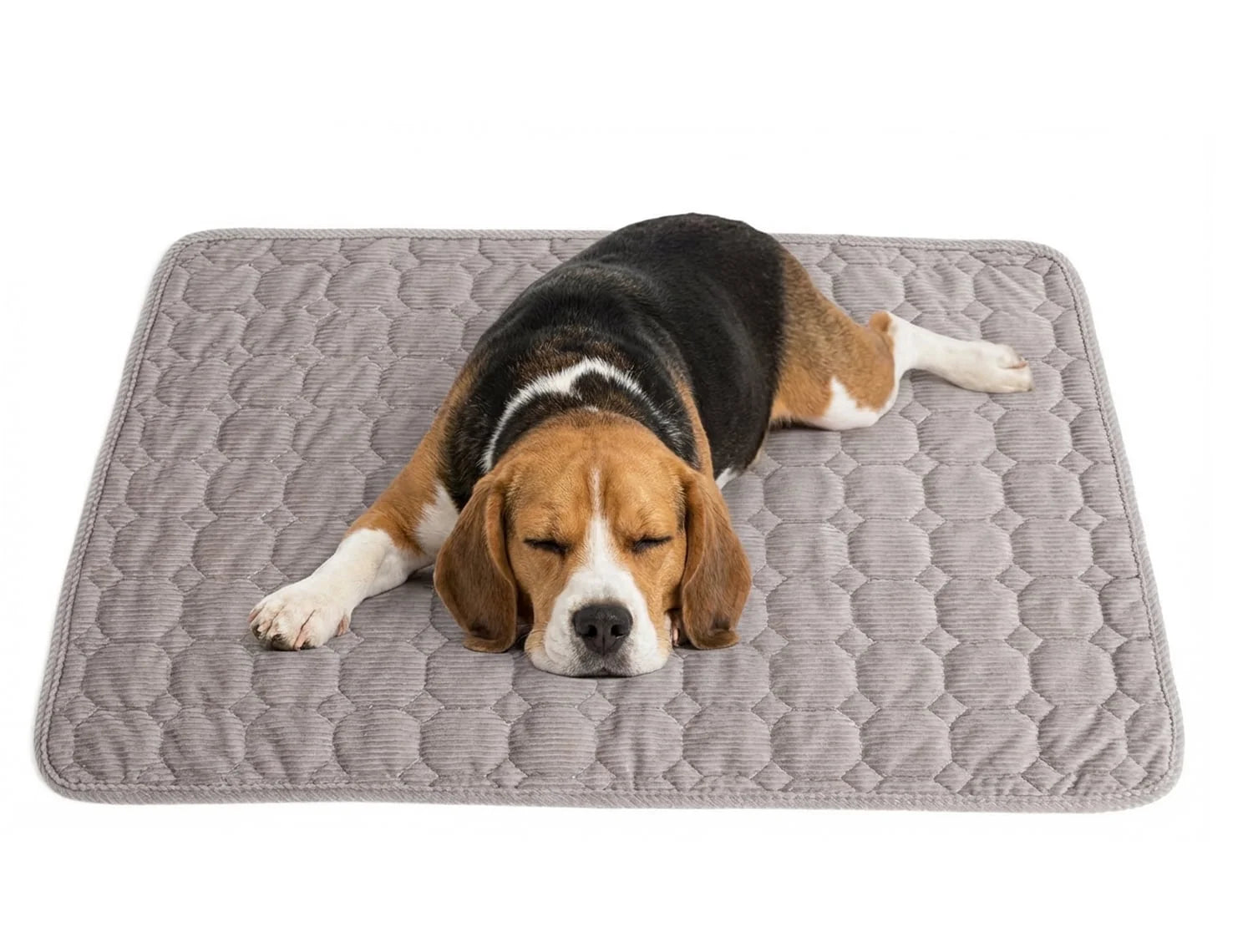 Extra Large Dog Crate Mat - 48" x 36" Washable Corduroy Kennel Mat with Anti-Slip Bottom and Durable Hemming