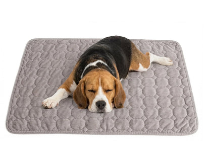 Extra Large Dog Crate Mat - 48" x 36" Washable Corduroy Kennel Mat with Anti-Slip Bottom and Durable Hemming