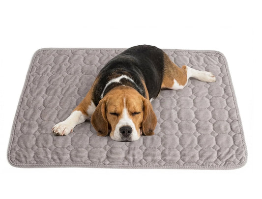 Extra Large Dog Crate Mat - 48" x 36" Washable Corduroy Kennel Mat with Anti-Slip Bottom and Durable Hemming