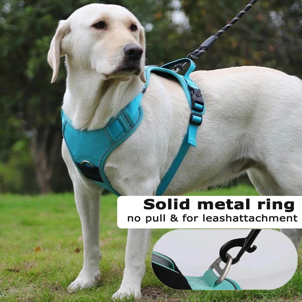 Premium Oxford Dog Harness and Leash Set with Airtag Holder - Breathable, Durable, and Reflective (Medium)