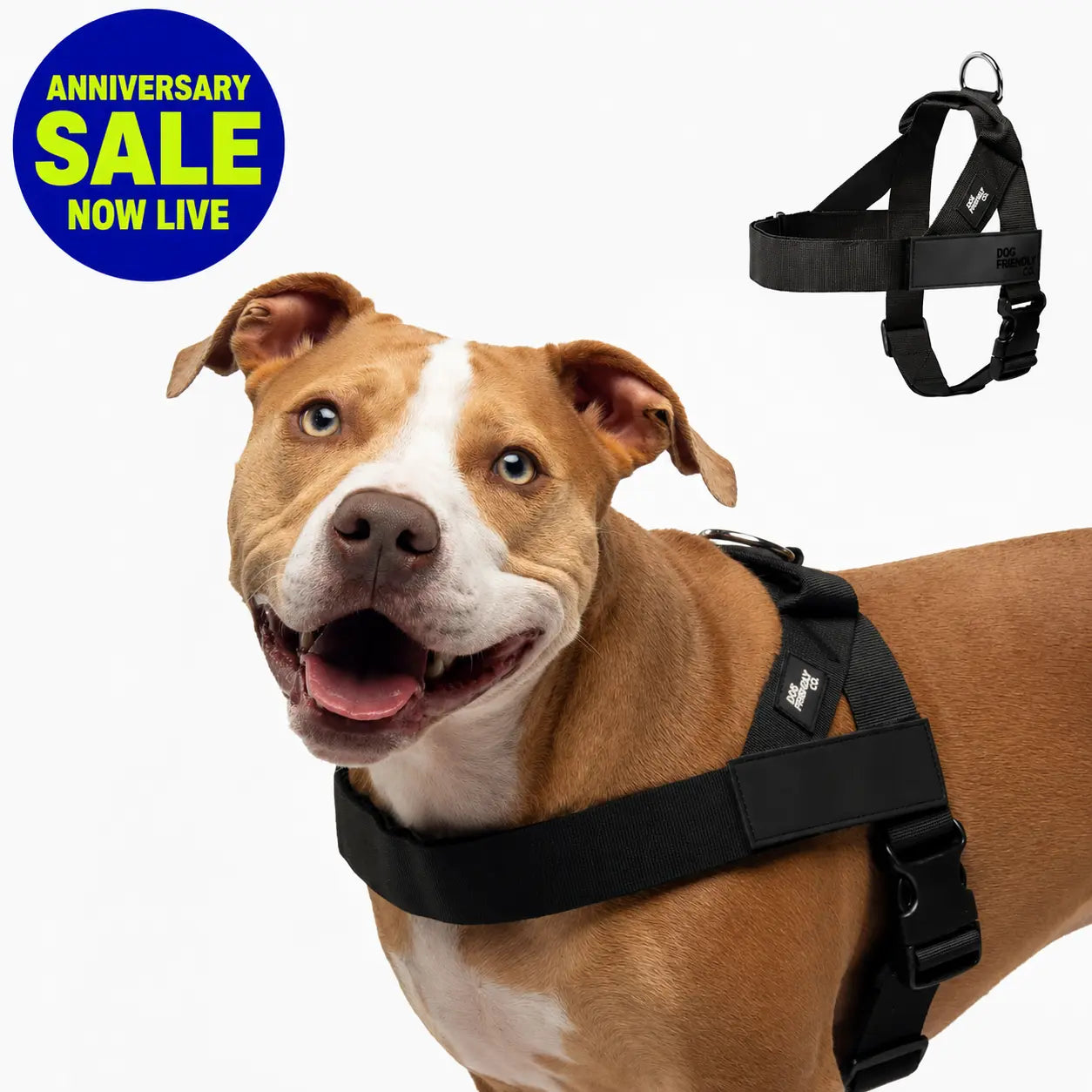Dog Friendly Co. No-Pull Harness - Adjustable, Lightweight, and Comfortable Design for All Dogs - Chafe-Resistant Straps for Enhanced Safety and Security