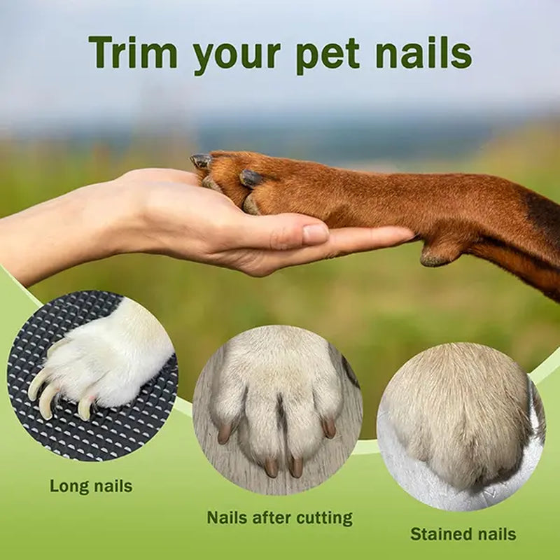 Summervibes Professional 2-in-1 Pet Nail Clipper and Grinder - Ultra Quiet Rechargeable Electric Nail Trimmer for Dogs and Cats of All Sizes