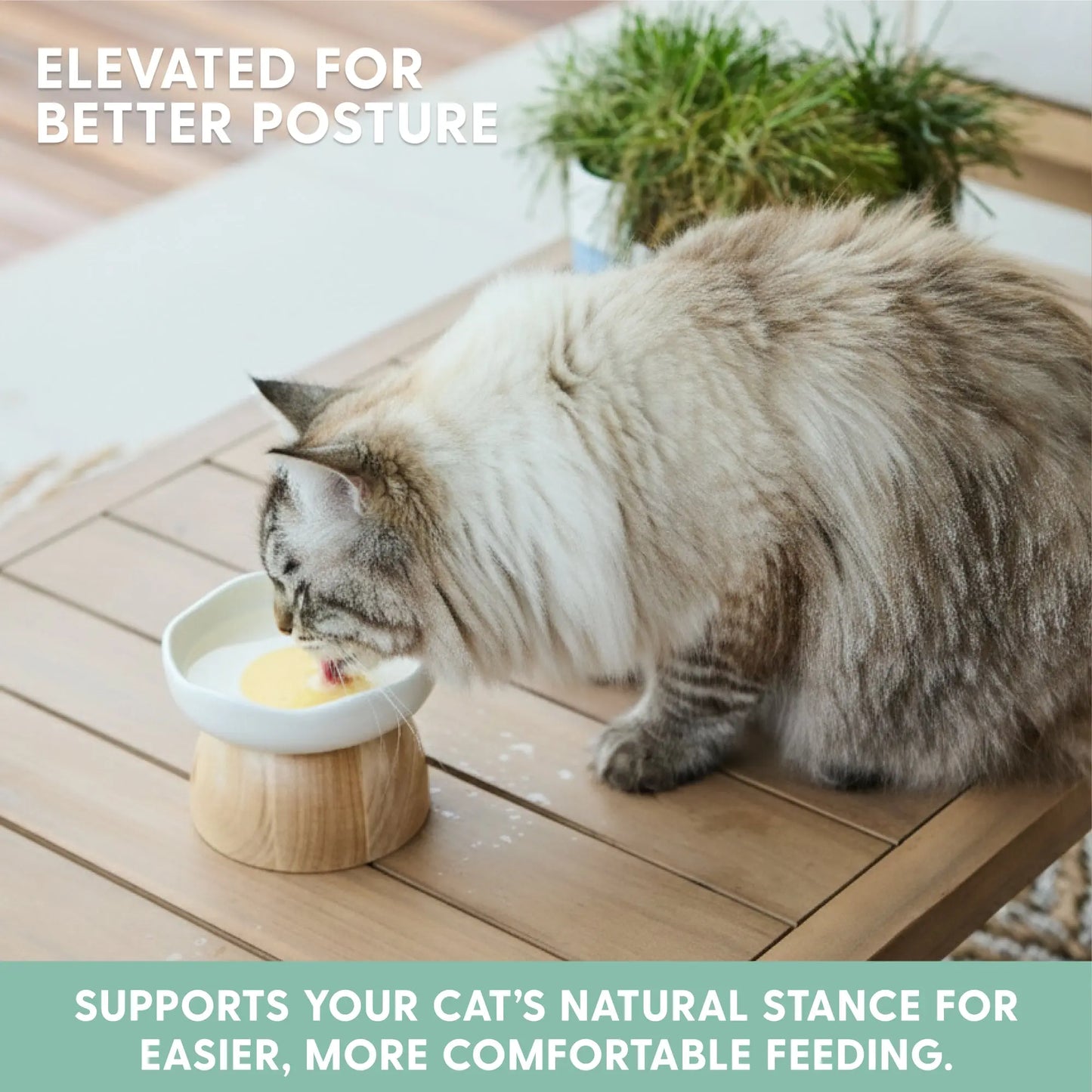 Premium Egg-Shaped Cat Bowl