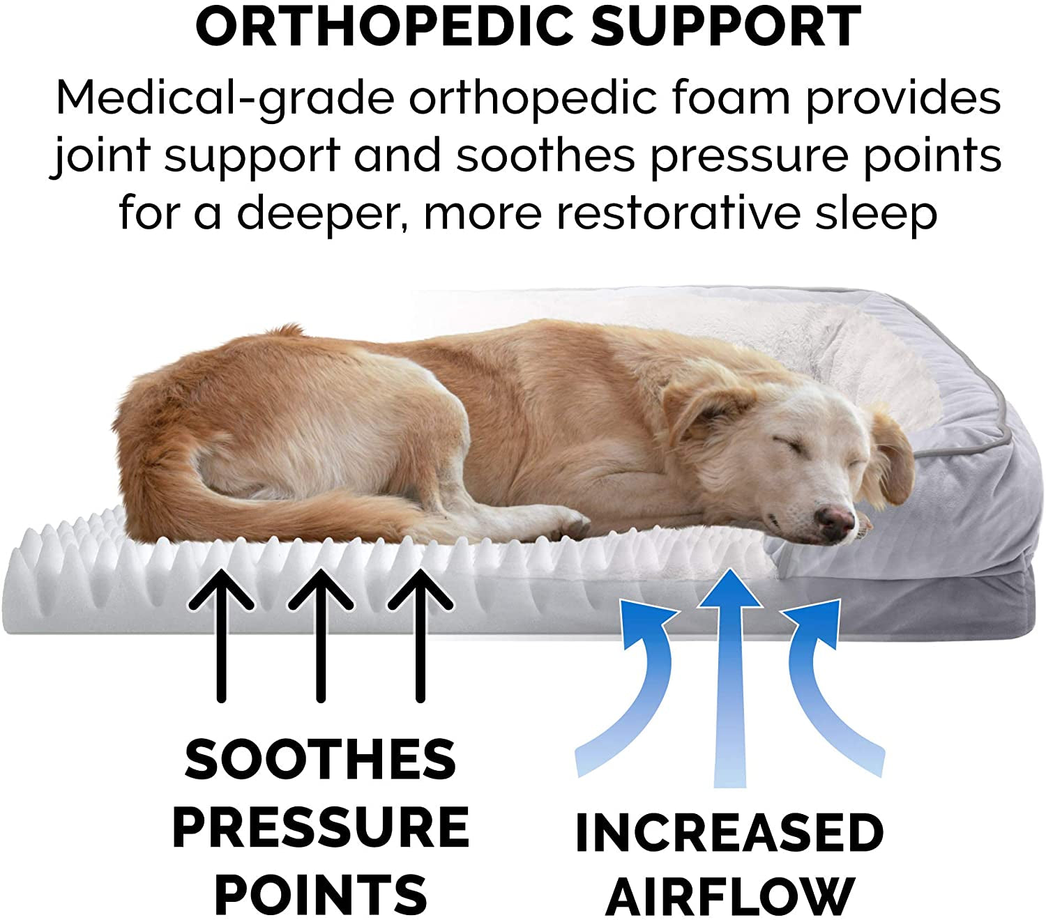 Orthopedic Dog Bed for Small to Medium Breeds with Removable Bolsters and Washable Cover, Ideal for Dogs up to 35 lbs - Plush Velvet Comfort Sofa in Granite Gray, Medium Size