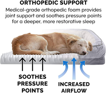 Orthopedic Dog Bed for Small to Medium Breeds with Removable Bolsters and Washable Cover, Ideal for Dogs up to 35 lbs - Plush Velvet Comfort Sofa in Granite Gray, Medium Size